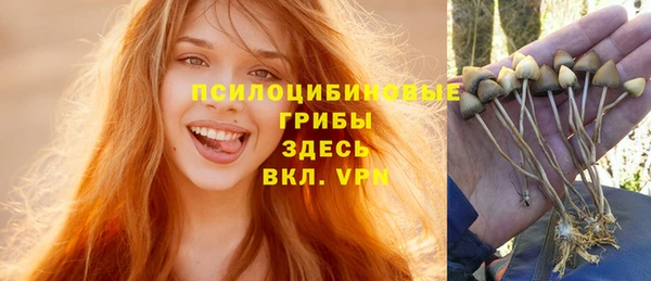 ешки Белокуриха