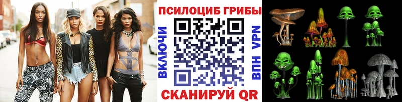 shop как зайти  Пестово  Галлюциногенные грибы Psilocybe 